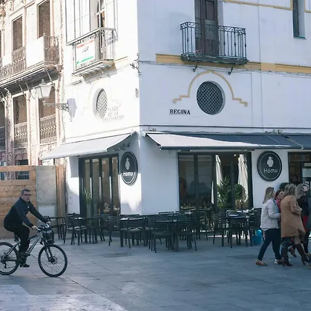 Metrosol Parasol- Excelente Ubicacion